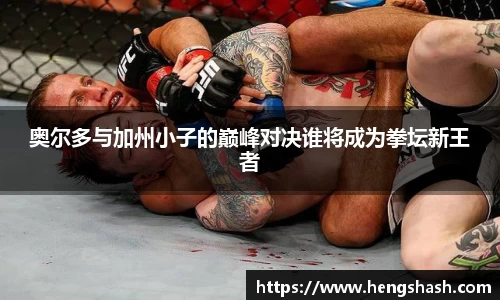 yy易游